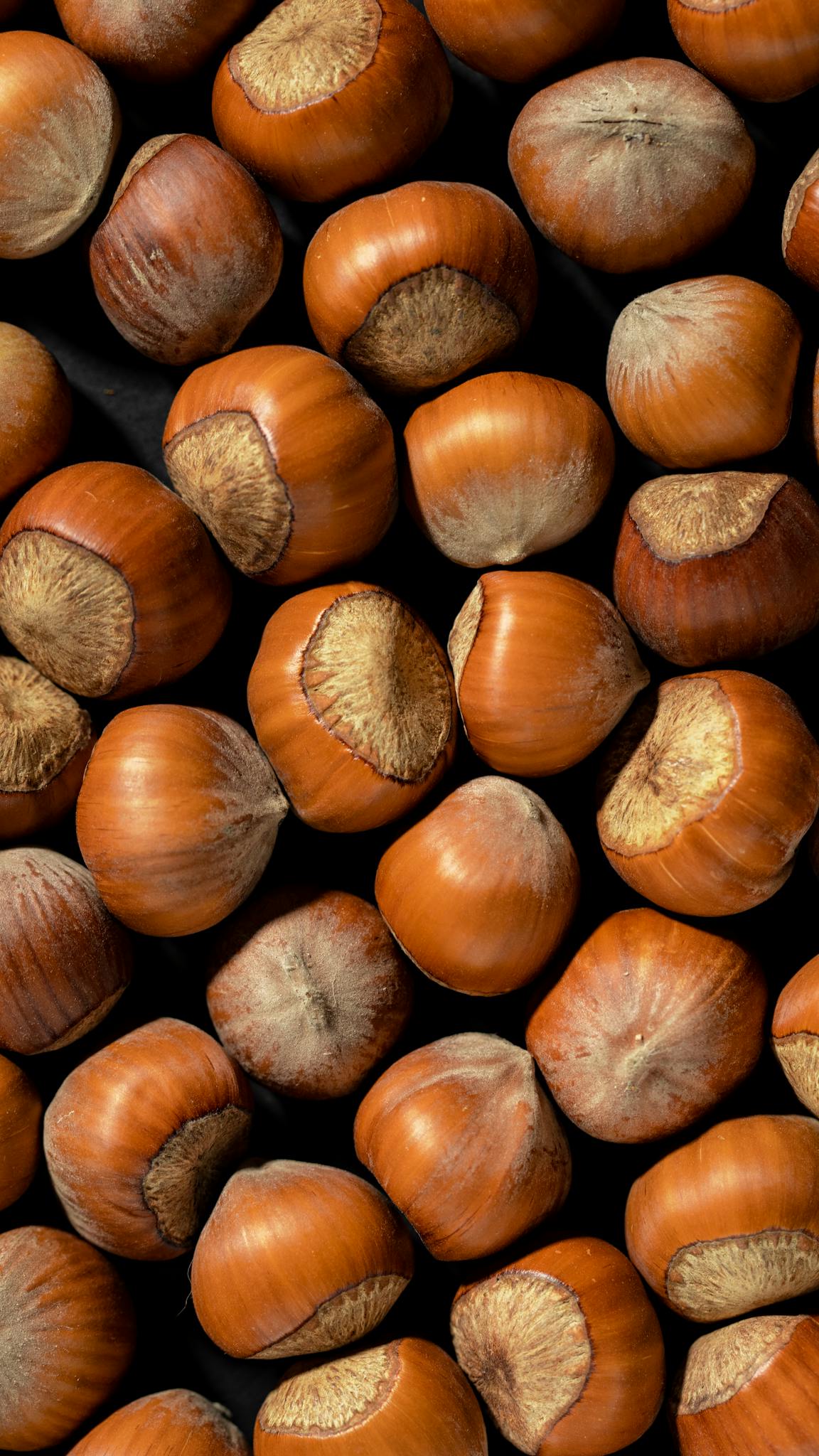 A vertical shot of fresh hazelnuts with brown shells, arranged neatly on a black surface.